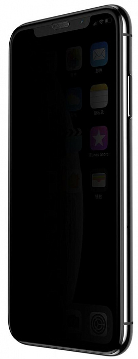 Защитное стекло Baseus Curved Privacy (SGAPIPH58-WC01) для iPhone X/Xs (Black) купить в интернет-магазине icover