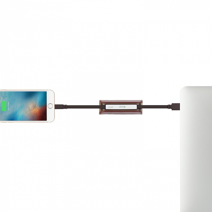 Портативный аккумулятор Moshi IonBank 3K 3200mAh 99MO022122 (Burgundy Red ) купить в интернет-магазине icover