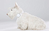 Умный ошейник для собак Mishiko M-103 1 месяц (White) купить в интернет-магазине icover
