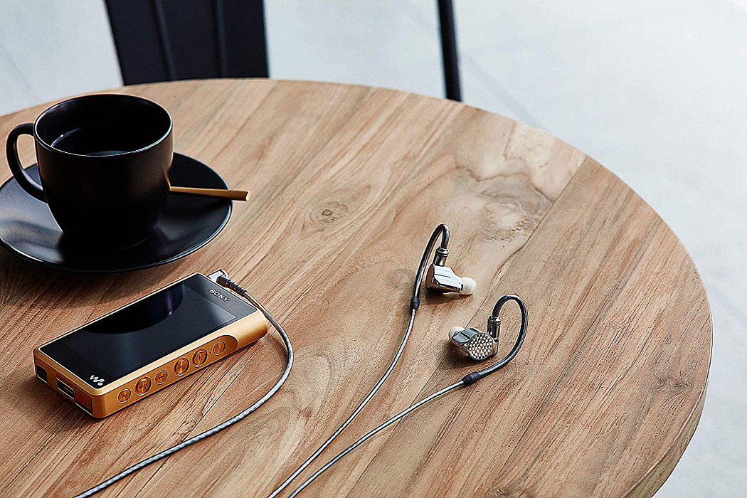 Внутриканальные наушники Sony IER-Z1R (Silver) купить в интернет-магазине icover