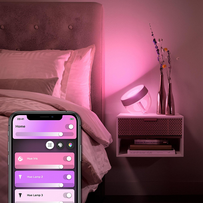 Умный светильник Philips Hue Iris gen4 929002376301 (Rose) купить в интернет-магазине icover