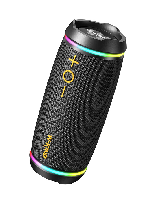 Колонка портативная W-KING D220 (Black) купить в интернет-магазине icover