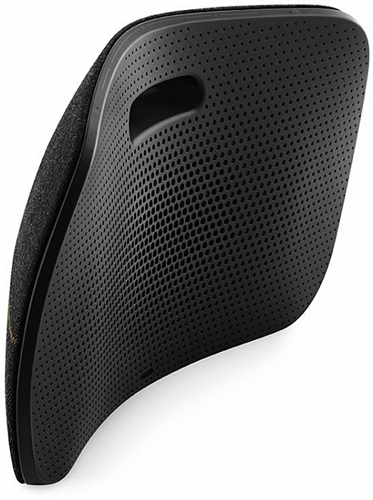 Акустическая система Bang & Olufsen BeoPlay A6 (Oxidized Brass) купить в интернет-магазине icover