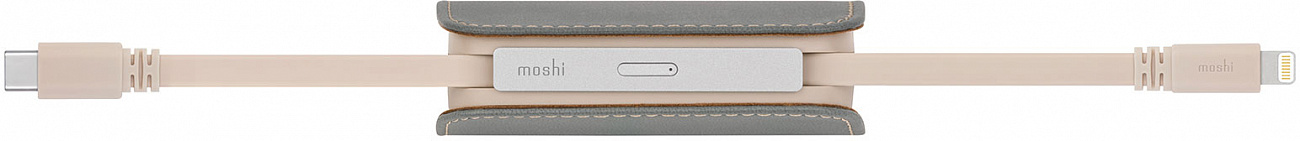Внешний аккумулятор Moshi IonGo 5K (99MO022024) USB-A/Lightning (Fossil Gray) купить в интернет-магазине icover