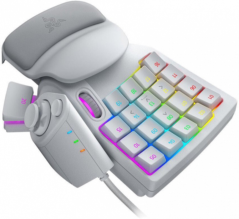 Игровая клавиатура Razer Tartarus Pro RZ07-03110200-R3M1 (Mercury) купить в интернет-магазине icover