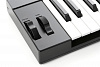 MIDI-клавиатура IK Multimedia iRig Keys 37 PRO (Black) купить в интернет-магазине icover