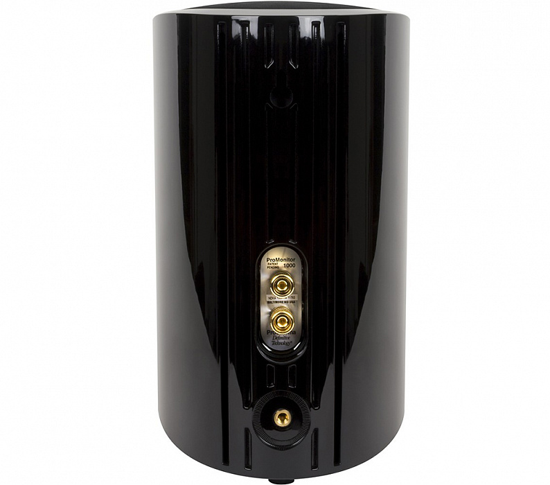 Definitive Technology ProMonitor 1000 - полочная акустика (Black) купить в интернет-магазине icover