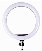 Кольцевая светодиодная лампа Circle Led Lamp с креплением телефона 26 см и штативом (Black) купить в интернет-магазине icover