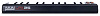 Портативный USB/MIDI-контроллер Akai PRO LPK25 A033508 (Black) купить в интернет-магазине icover