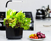 Умный сад Tregren T3 Kitchen Garden (Black) купить в интернет-магазине icover