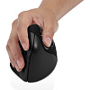 Evoluent Vertical Mouse 4 (right) - беспроводная мышь для Mac (VM4RM) купить в интернет-магазине icover