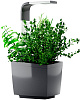 Умный сад Tregren T3 Kitchen Garden (Grey) купить в интернет-магазине icover