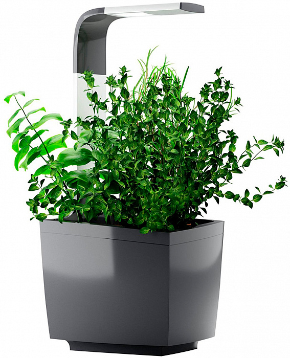 Умный сад Tregren T3 Kitchen Garden (Grey) купить в интернет-магазине icover