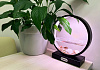 Садовая ферма VegeBox (Black) купить в интернет-магазине icover