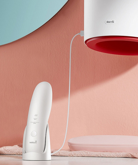 Фен с сушилкой для рук Deerma Multifunction Hair Dryer (DEM-GS100) купить в интернет-магазине icover