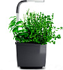 Умный сад Tregren T3 Kitchen Garden (Grey) купить в интернет-магазине icover