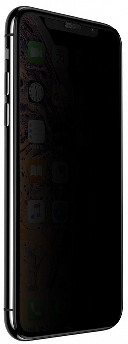 Защитное стекло Baseus Curved Privacy (SGAPIPH58-WC01) для iPhone X/Xs (Black) купить в интернет-магазине icover