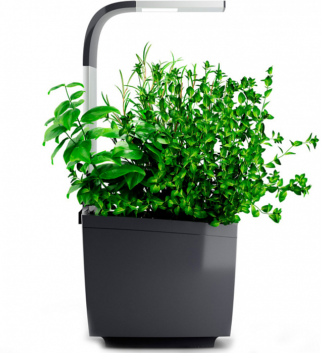 Умный сад Tregren T3 Kitchen Garden (Grey) купить в интернет-магазине icover