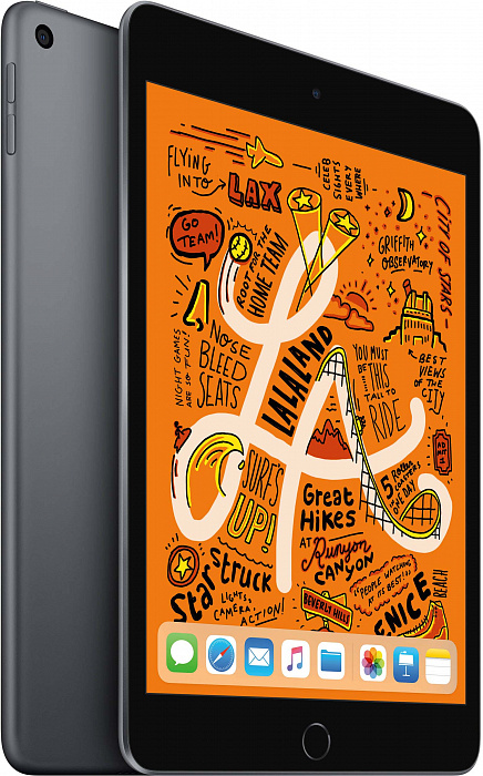 Планшет Apple iPad mini 2019 Wi-Fi + Cellular 256Gb MUXC2RU/A Space Grey купить в интернет-магазине icover