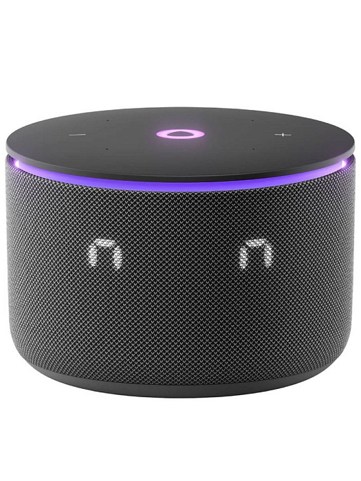 Умная колонка Яндекс Станция Мини 3 Про Zigbee YNDX00059BLK (Black) купить в интернет-магазине icover