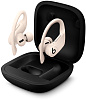 Bluetooth-наушники с микрофоном Beats Powerbeats Pro MV722EE/A (Ivory) купить в интернет-магазине icover