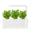 Комплект картриджей Click & Grow Мята 3 Pack купить в интернет-магазине icover