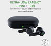 Беспроводные наушники Razer Hammerhead True Wireless RZ12-02970100-R3G1 (Black) купить в интернет-магазине icover