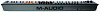 MIDI-клавиатура M-Audio Oxygen 61 Mk IV (Black) купить в интернет-магазине icover