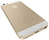 Apple iPhone 5S 16Gb Gold (FF354RU/A) - восстановленный купить в интернет-магазине icover