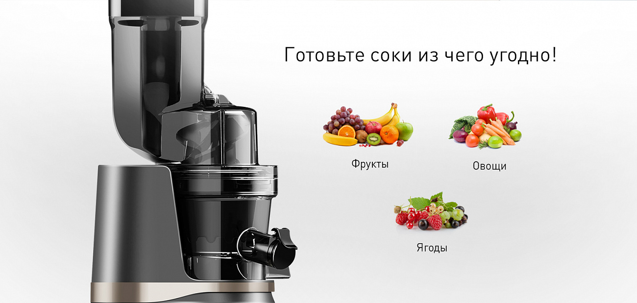 Соковыжималка Garlyn J700 Pro (Grey) купить в интернет-магазине icover