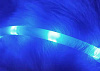 LED-ошейник Xiaomi Little Beast для собак (Blue) купить в интернет-магазине icover