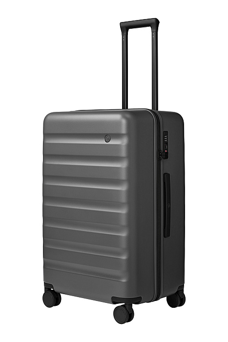 Чемодан Ninetygo Rhine 2.0 26 10100100510K700300 (Grey) купить в интернет-магазине icover