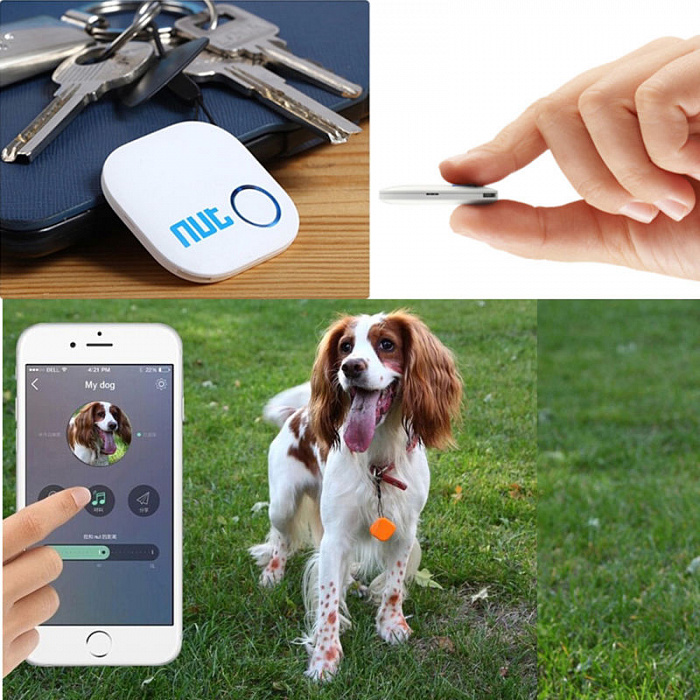 NUT Smart tracker - антикражная метка (White) купить в интернет-магазине icover