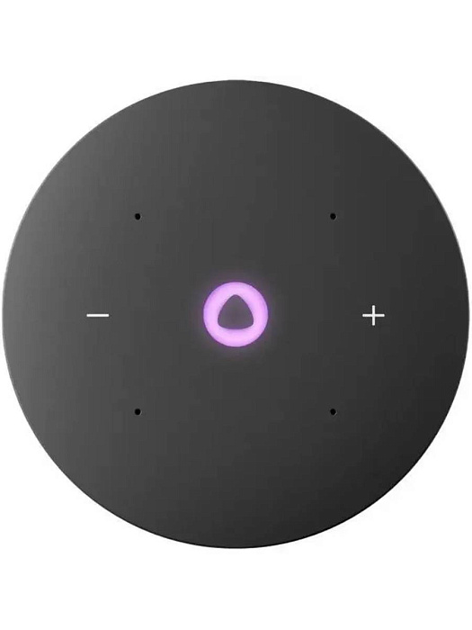 Умная колонка Яндекс Станция Мини 3 YNDX-00027 (Purple) купить в интернет-магазине icover