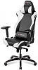 DXseat A24/XW - компьютерное кресло (Black/White) купить в интернет-магазине icover