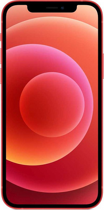 Смартфон Apple iPhone 12 64Gb MGJ73RU/A (Red) купить в интернет-магазине icover