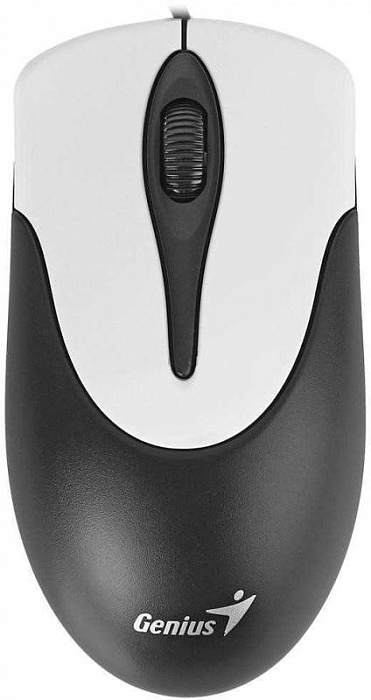 Genius NetScroll 100 1000 dpi - проводная мышь (Black/Silver)  купить в интернет-магазине icover