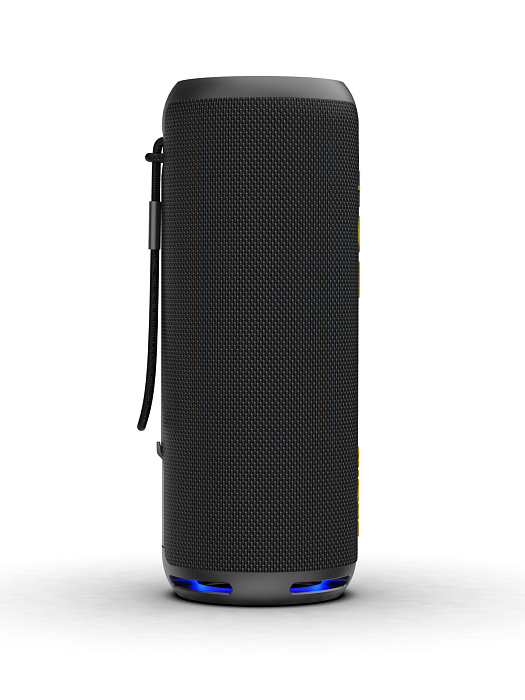 Колонка портативная W-KING D320 (Black) купить в интернет-магазине icover