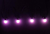 Smart-гирлянда Twinkly Festoon Lights Starter Kit (TWF-020-STP) купить в интернет-магазине icover