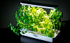 Домашняя ферма VegeBox T-Box (White) купить в интернет-магазине icover
