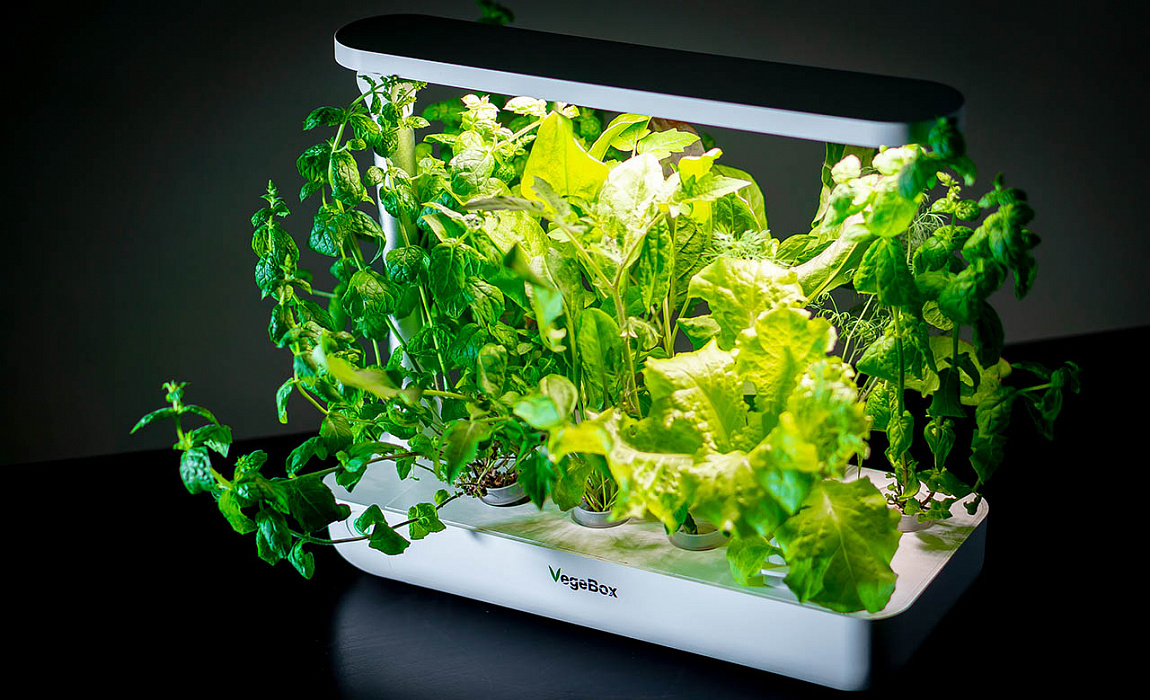Домашняя ферма VegeBox T-Box (White) купить в интернет-магазине icover
