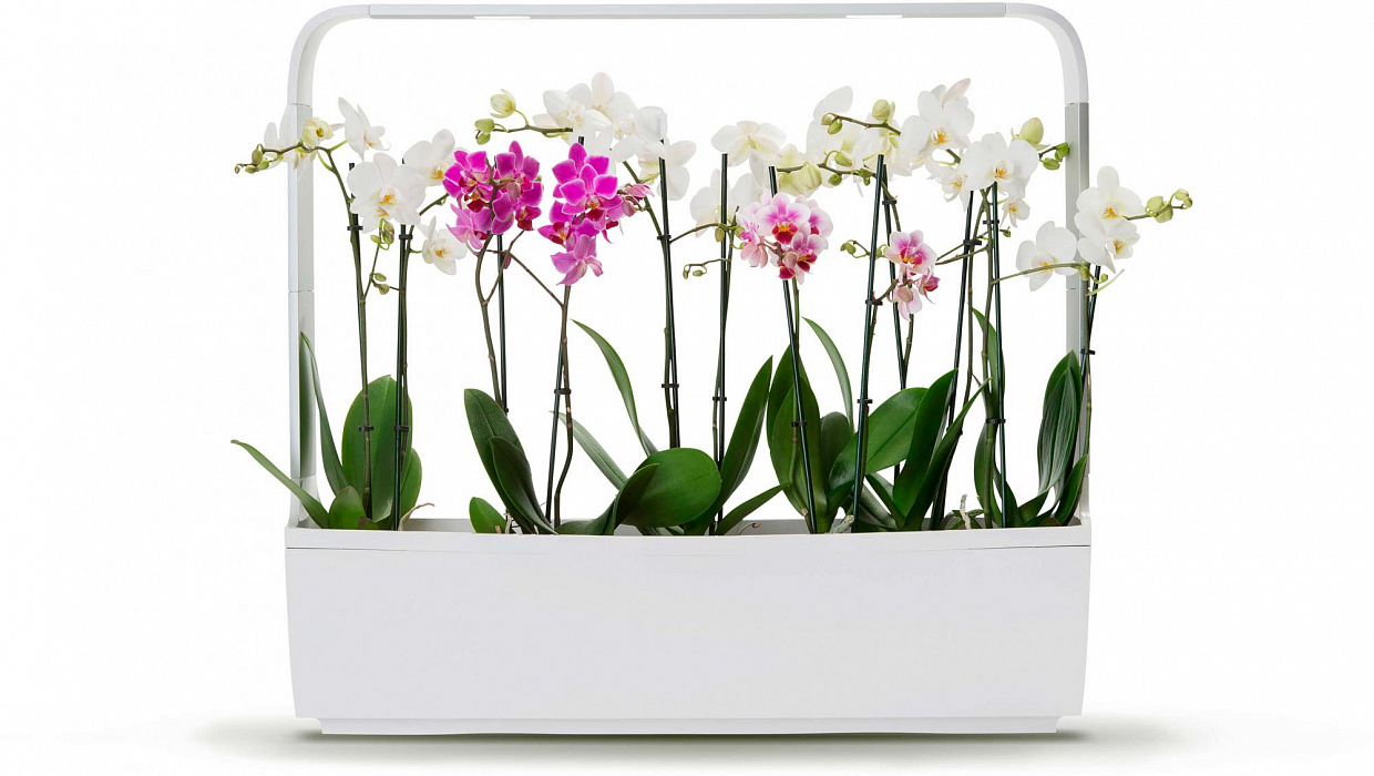 Умный сад Tregren T12 Kitchen Garden (White) купить в интернет-магазине icover