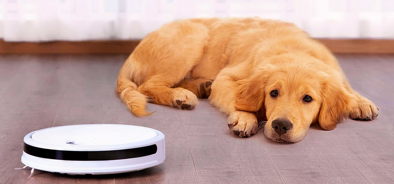 Робот-пылесос Xiaomi Xiaowa Robot Vacuum Cleaner Lite С102-00 (White) купить в интернет-магазине icover