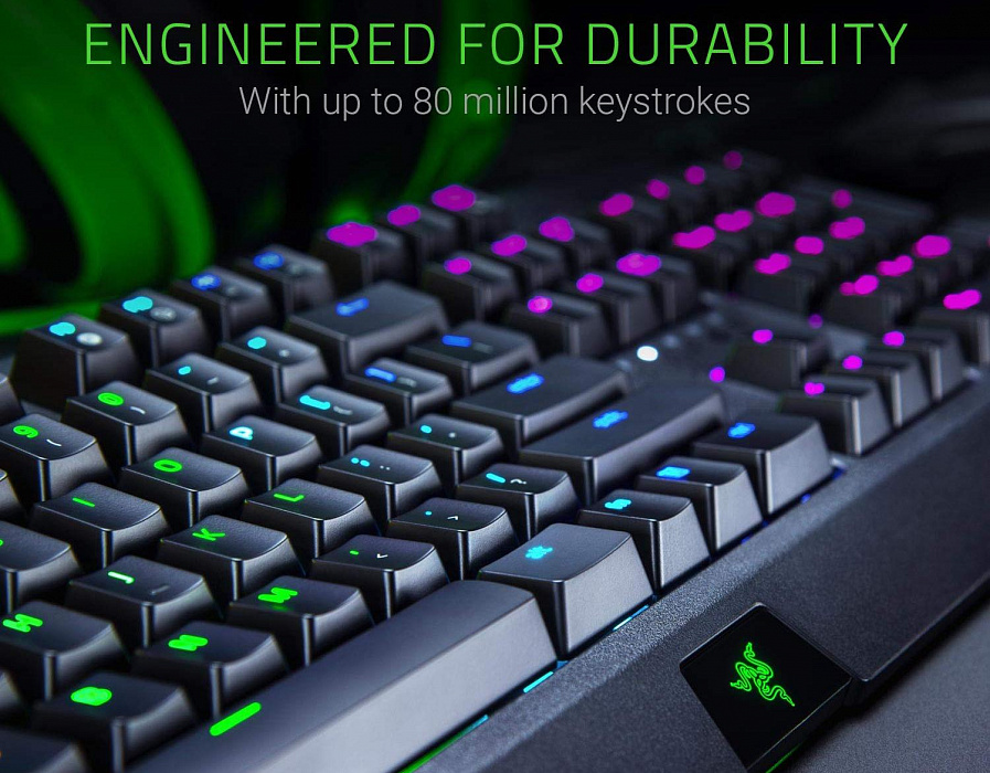 Игровая клавиатура Razer BlackWidow 2019 Green Switch RZ03-02861100-R3R1 (Black) купить в интернет-магазине icover