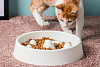 Миска для корма Xiaomi Jordan&Judy Pet Slow Bowl (White) купить в интернет-магазине icover