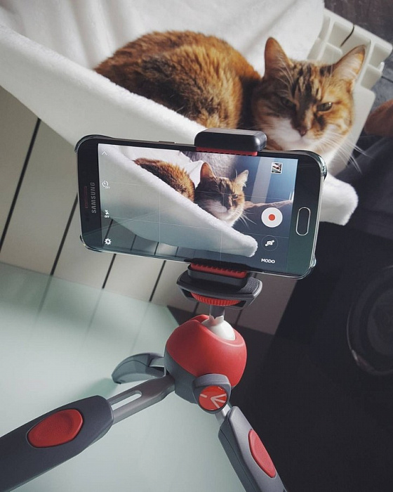 Универсальный держатель Manfrotto MCLAMP для смартфона (Black) купить в интернет-магазине icover
