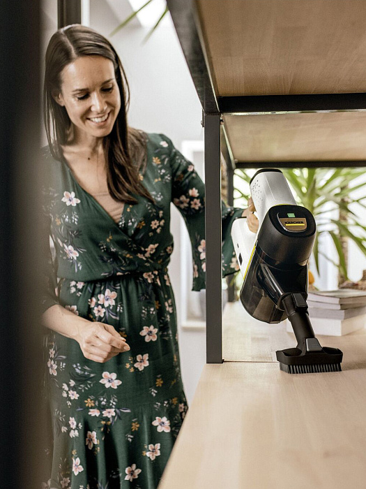 Вертикальный пылесос Karcher VC 6 Cordless ourFamily Duo EU (1.198-678.0) купить в интернет-магазине icover