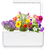 Умный сад Click & Grow Smart Garden 3 Цветы (White) купить в интернет-магазине icover