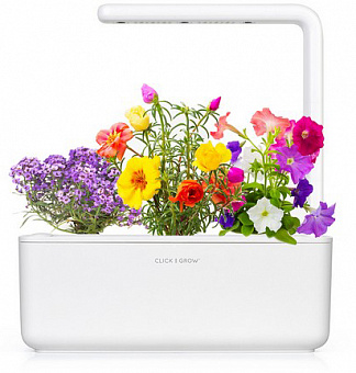 Умный сад Click & Grow Smart Garden 3 Цветы (White)