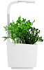 Умный сад Tregren T3 Kitchen Garden (White) купить в интернет-магазине icover